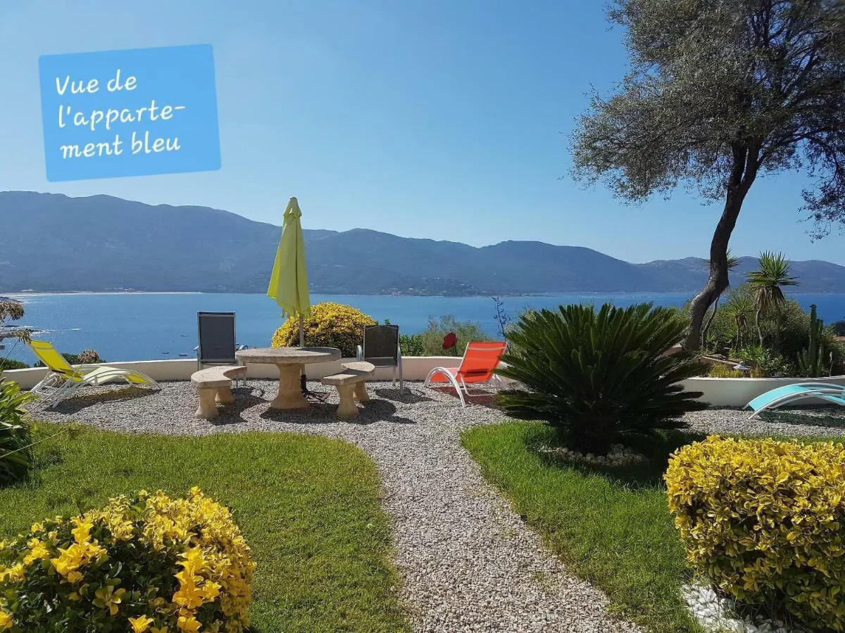 Apartment Residence U Melu Grand T2 Bleu En Rez De Jardin Tiuccia France